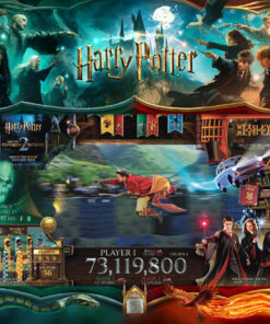 Harry Potter Wizard Edition (LE)