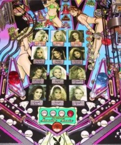 Playboy Pinball Machine by Stern