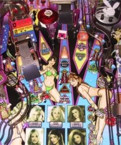 Playboy Pinball Machine by Stern