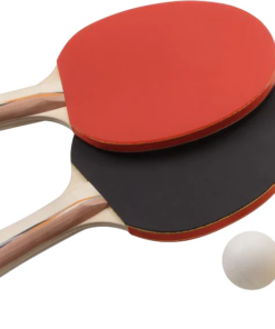 Sterling Ping Pong Table